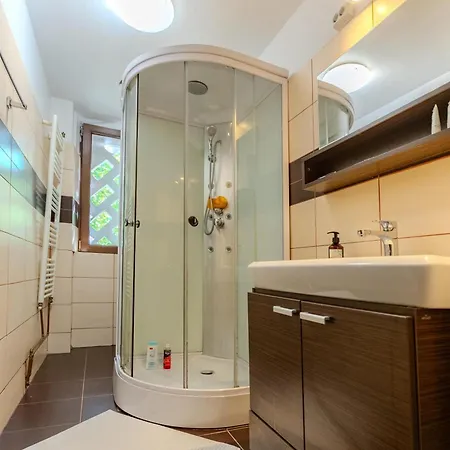 Central Apartment Boulevard Apartment Timisoara